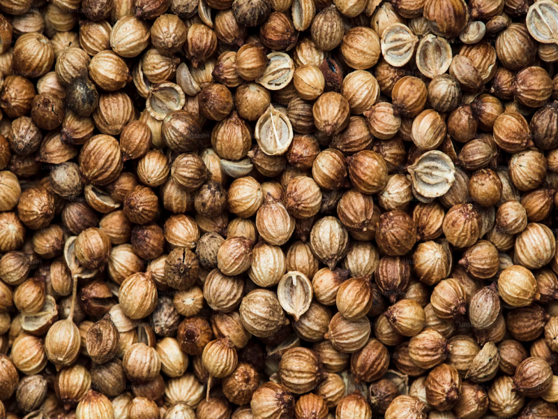 Coriander Seeds