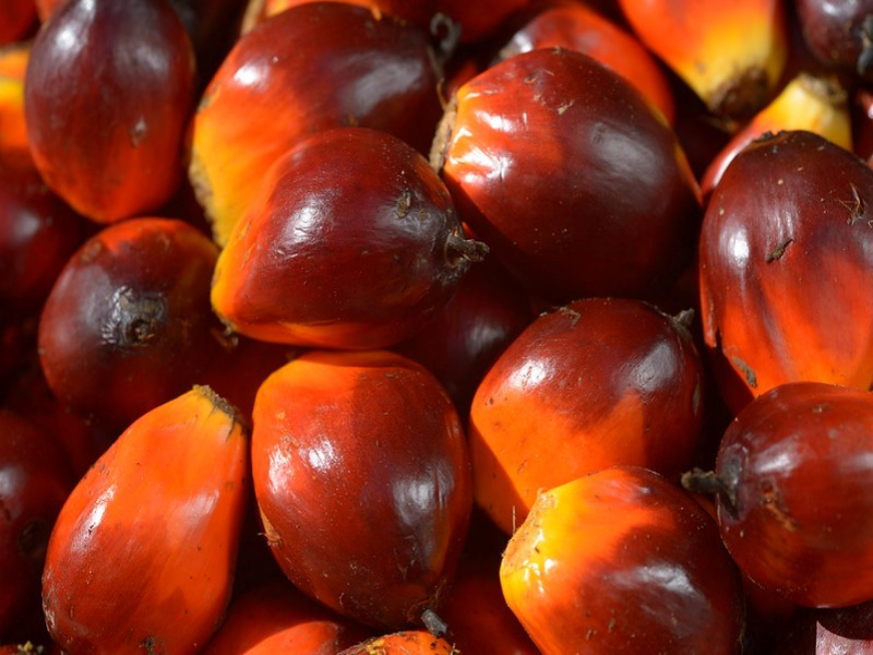Palm Oil (Crude)